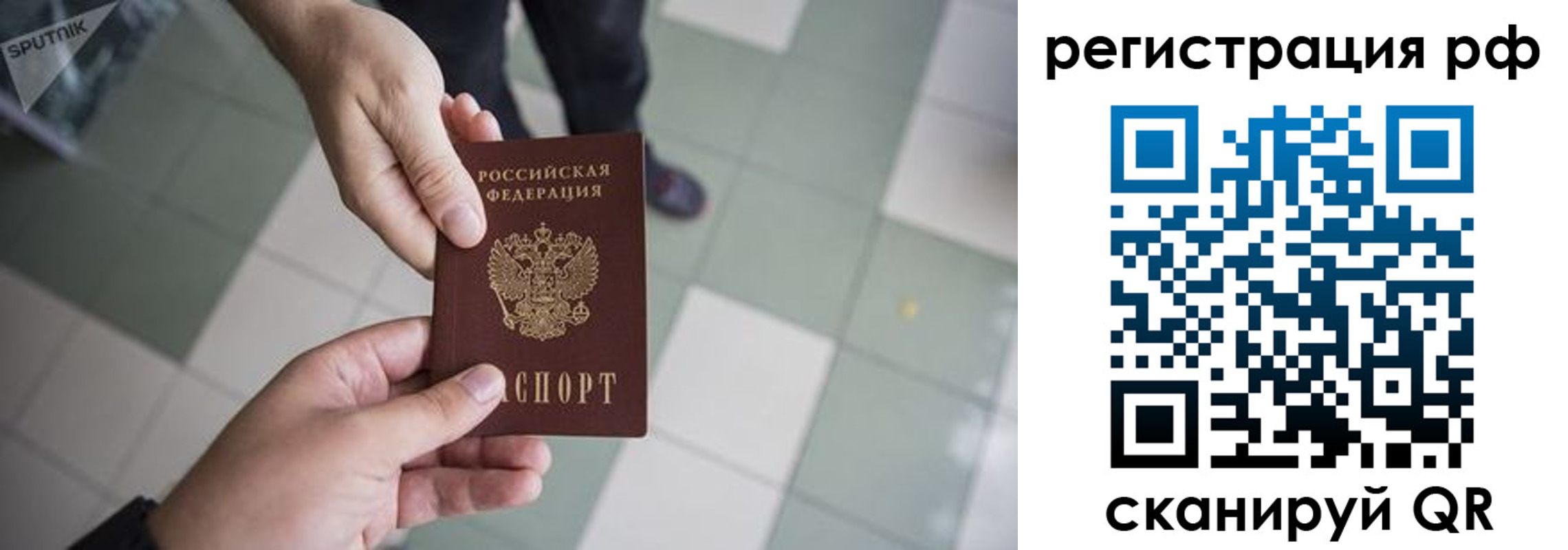 прописка гарантия в Щиграх